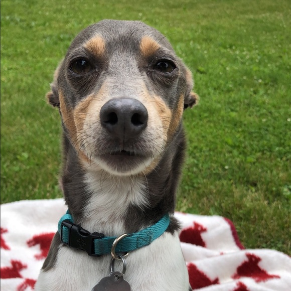 Meet your Posher, Jenna - Picture 1 of 1